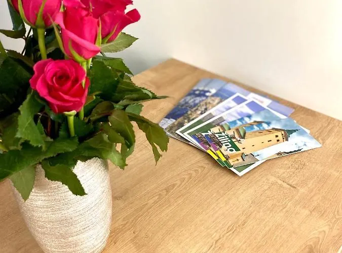 아파트 Mala Praha *