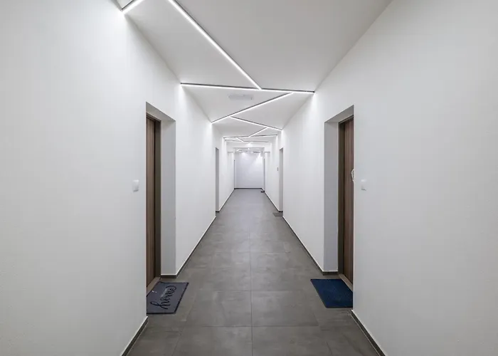 Mala Praha 아파트 질리나